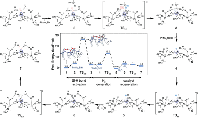 世界杯投注平台