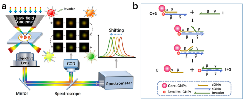 世界杯投注平台