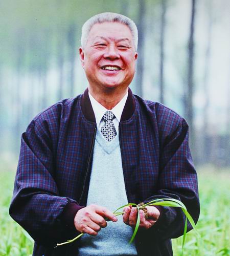 世界杯投注平台