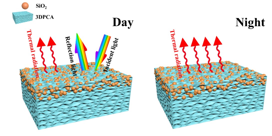 世界杯投注平台