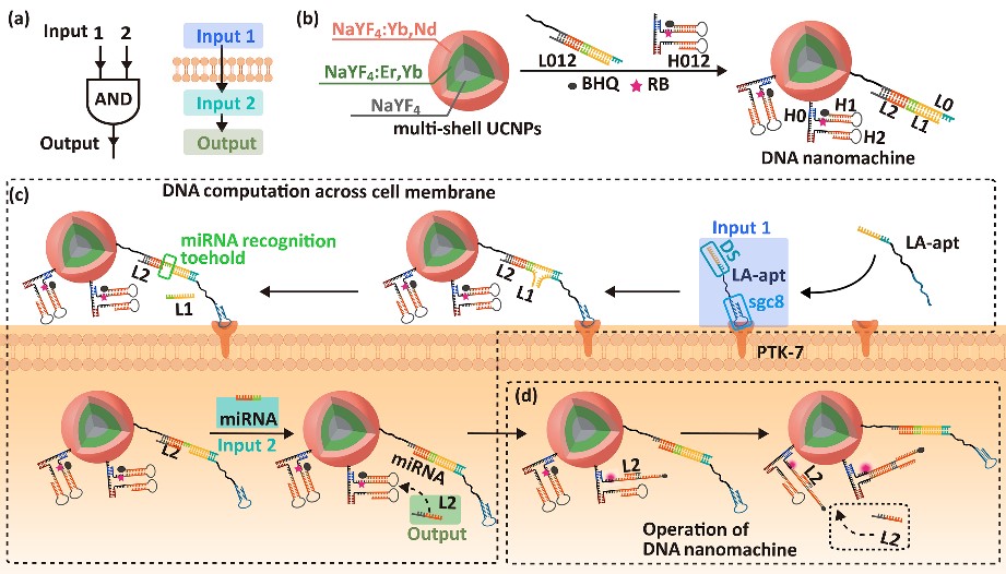 世界杯投注平台