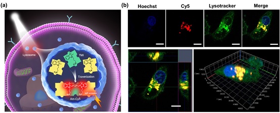 5 世界杯投注平台