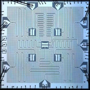 世界杯投注平台