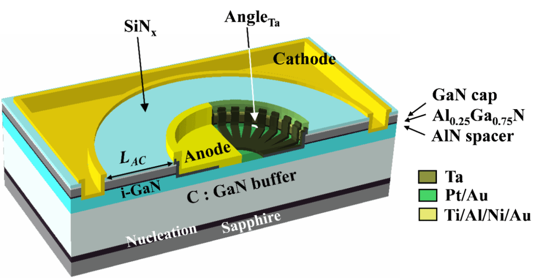 世界杯投注平台