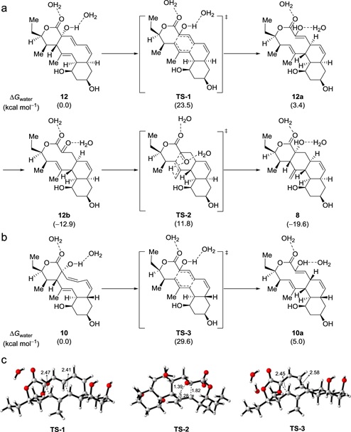 4 世界杯投注平台