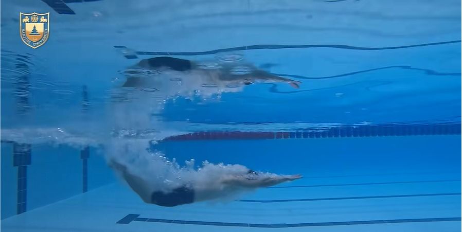 世界杯投注平台