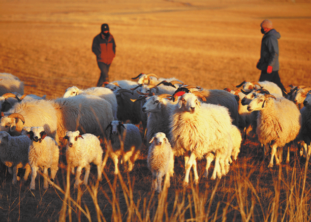 世界杯投注平台