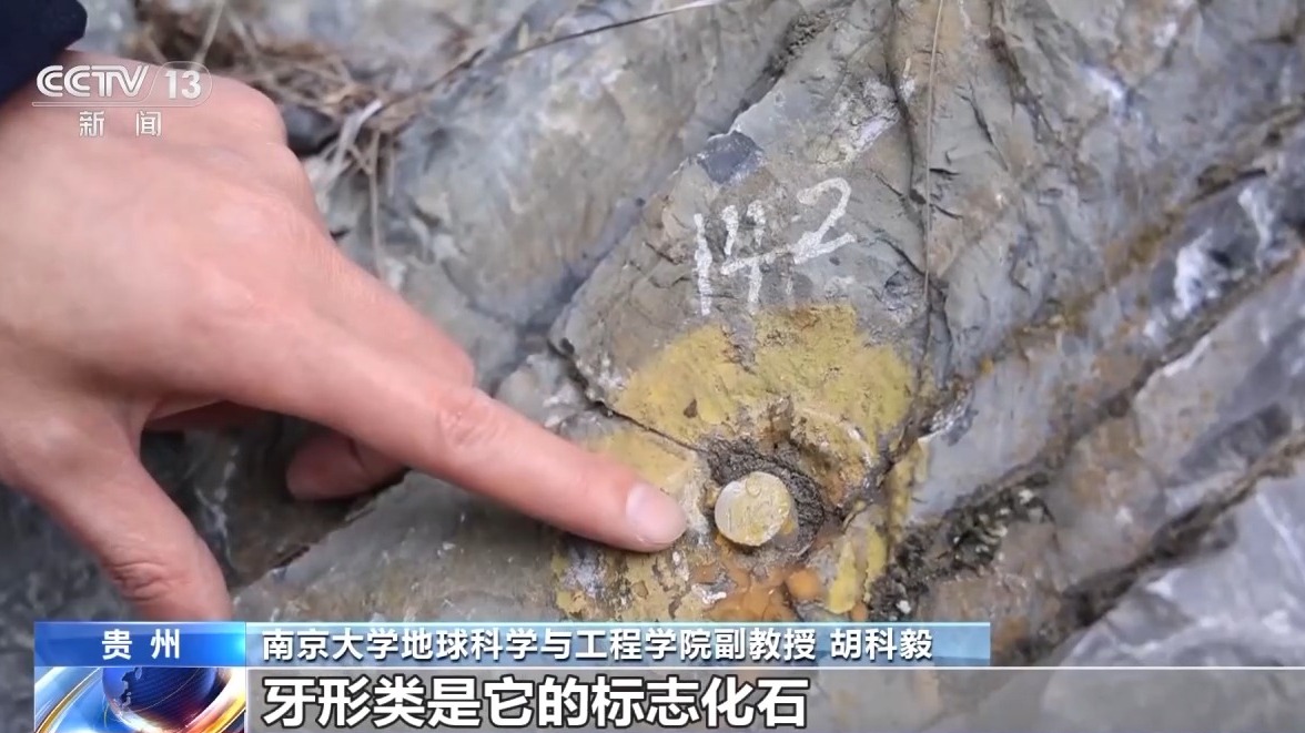 世界杯投注平台