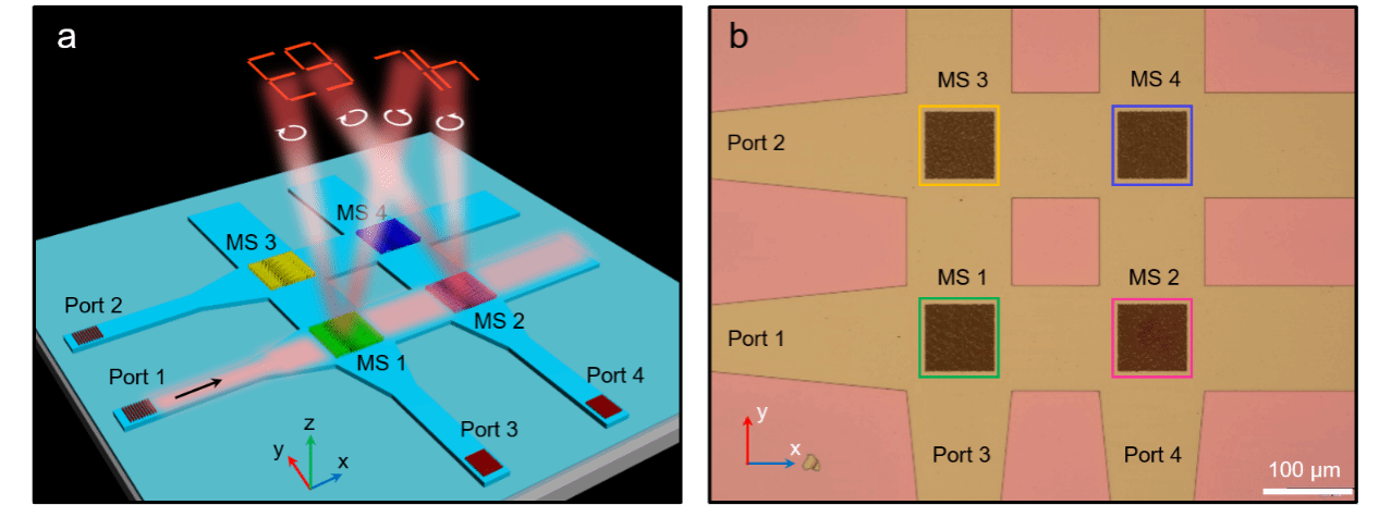 世界杯投注平台