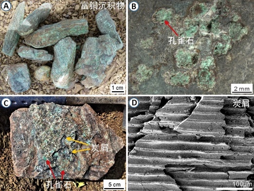 6 世界杯投注平台