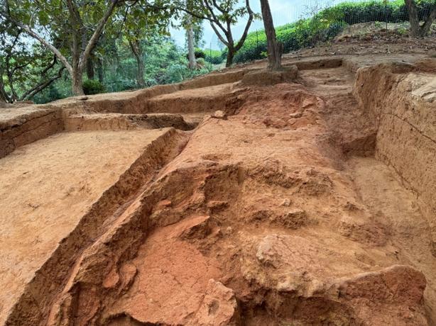 世界杯投注平台