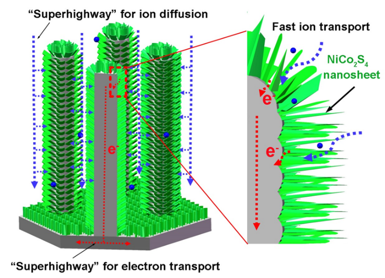 世界杯投注平台
