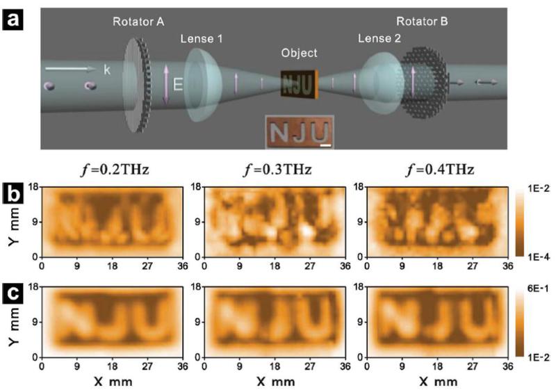 世界杯投注平台