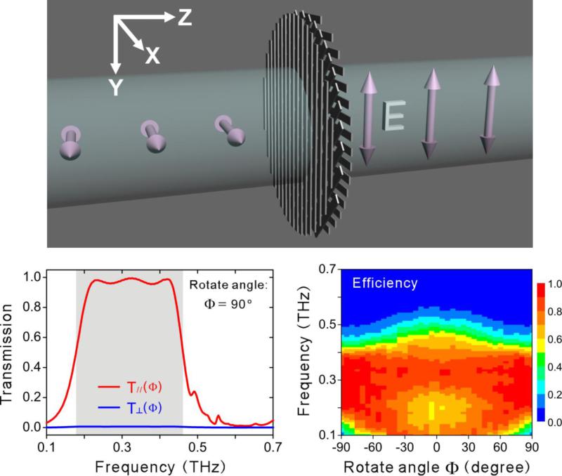 世界杯投注平台
