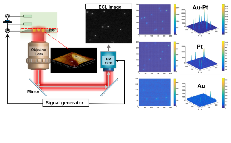 世界杯投注平台