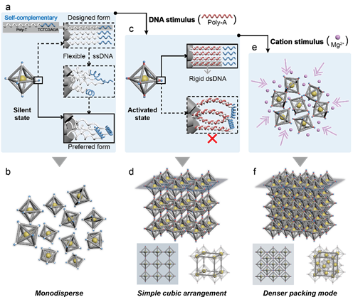 世界杯投注平台