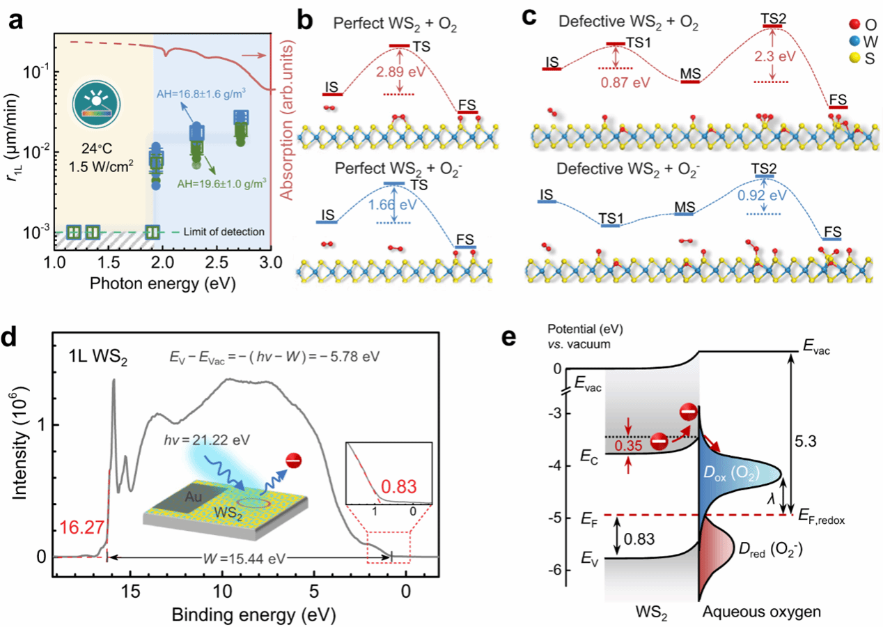 世界杯投注平台