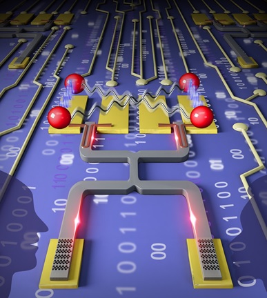 1 世界杯投注平台