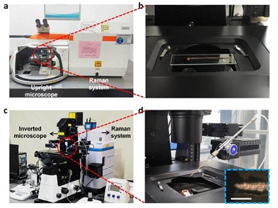 2 世界杯投注平台