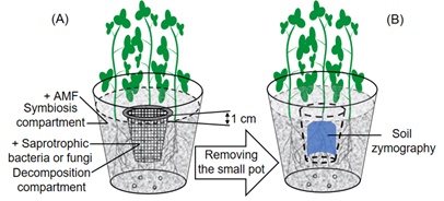 世界杯投注平台