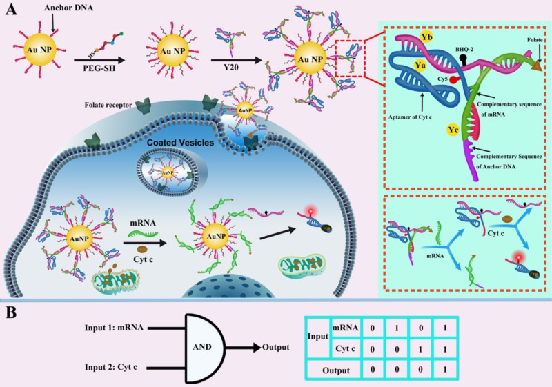 世界杯投注平台