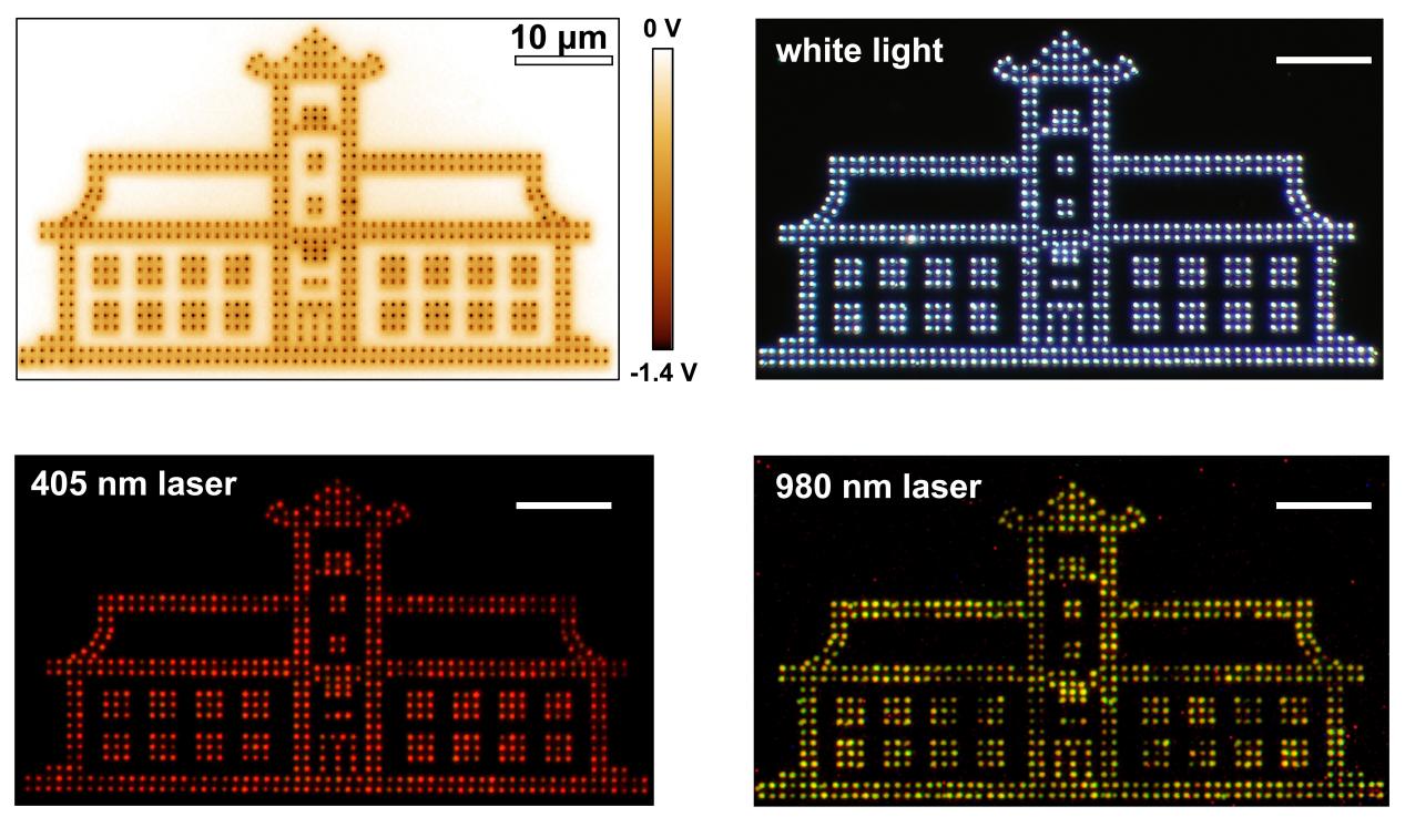 世界杯投注平台