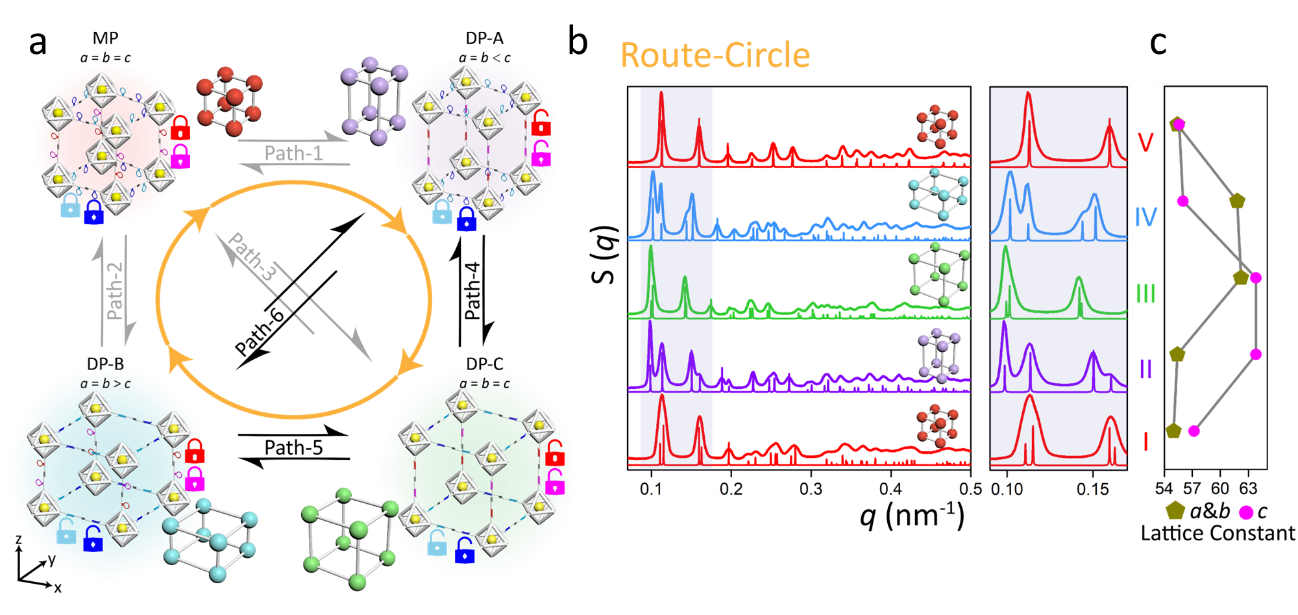 世界杯投注平台