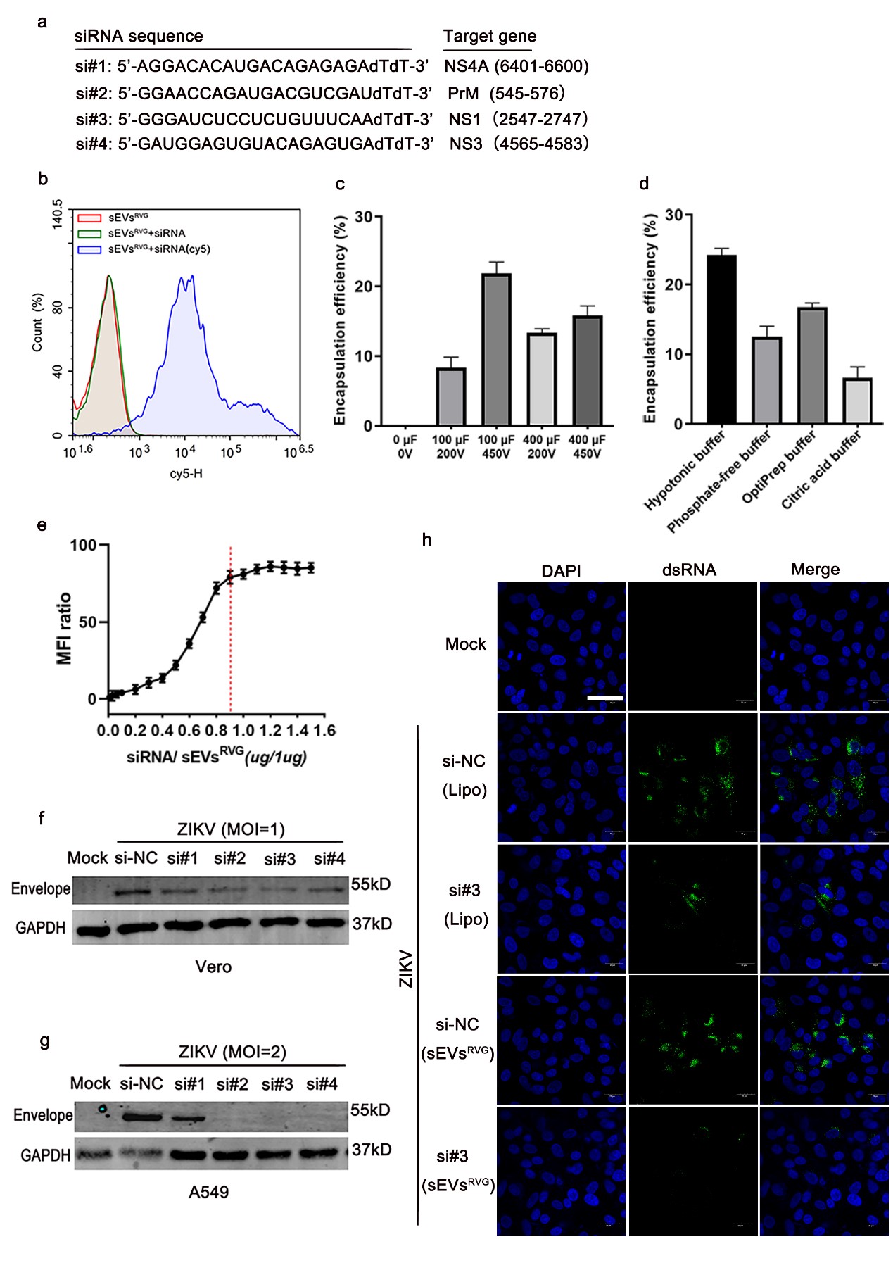 2_904922 世界杯投注平台