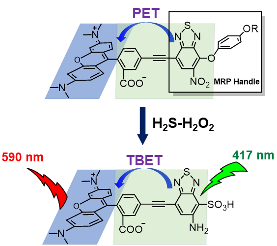 世界杯投注平台