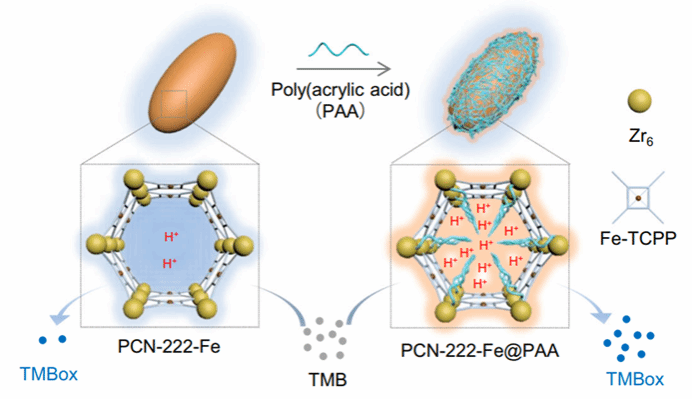 世界杯投注平台