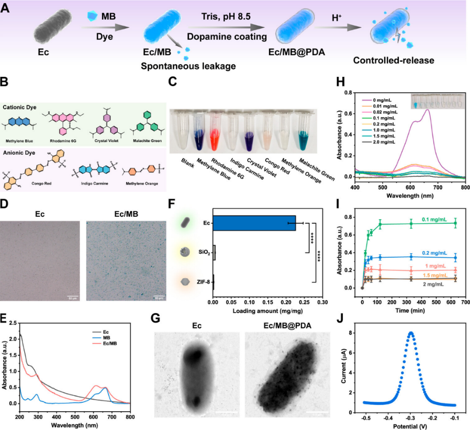 世界杯投注平台