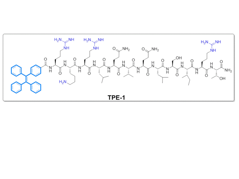 世界杯投注平台