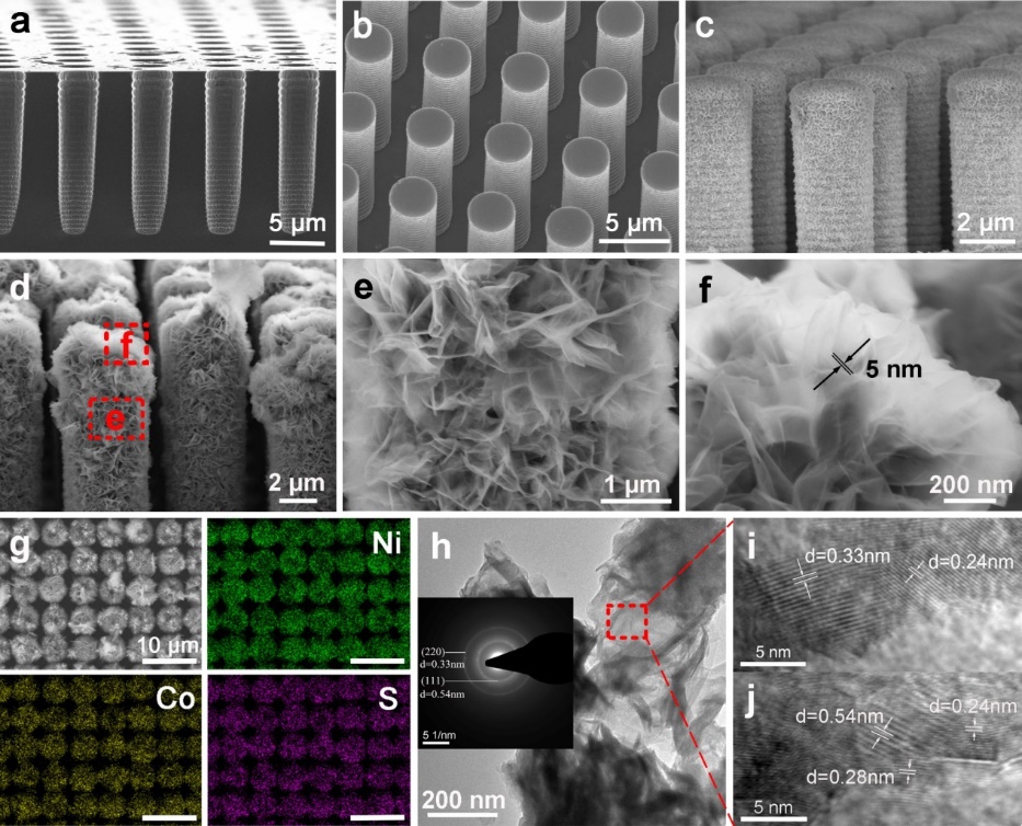 世界杯投注平台