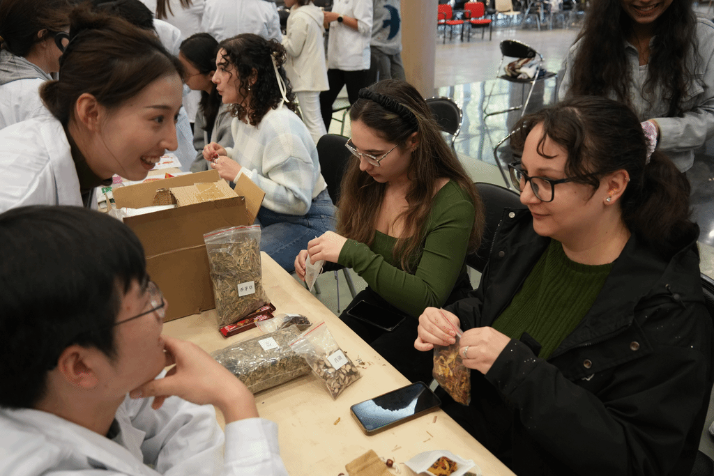 世界杯投注平台