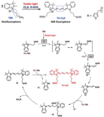 4 世界杯投注平台