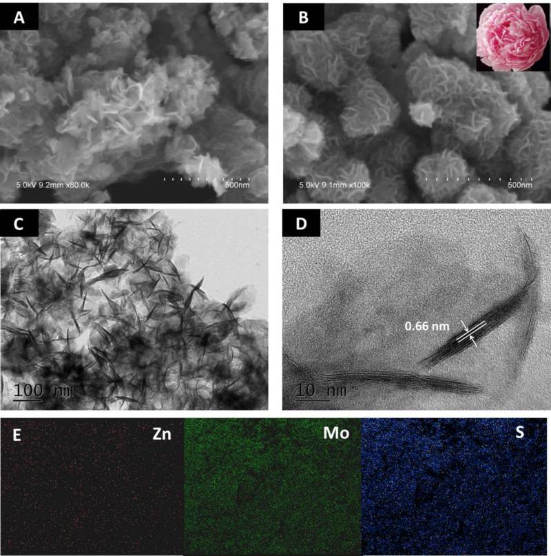 世界杯投注平台