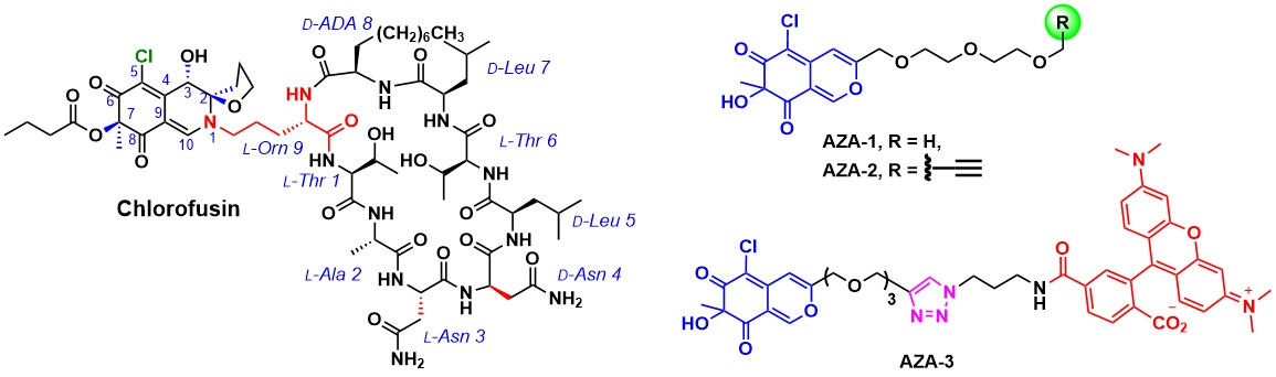 世界杯投注平台