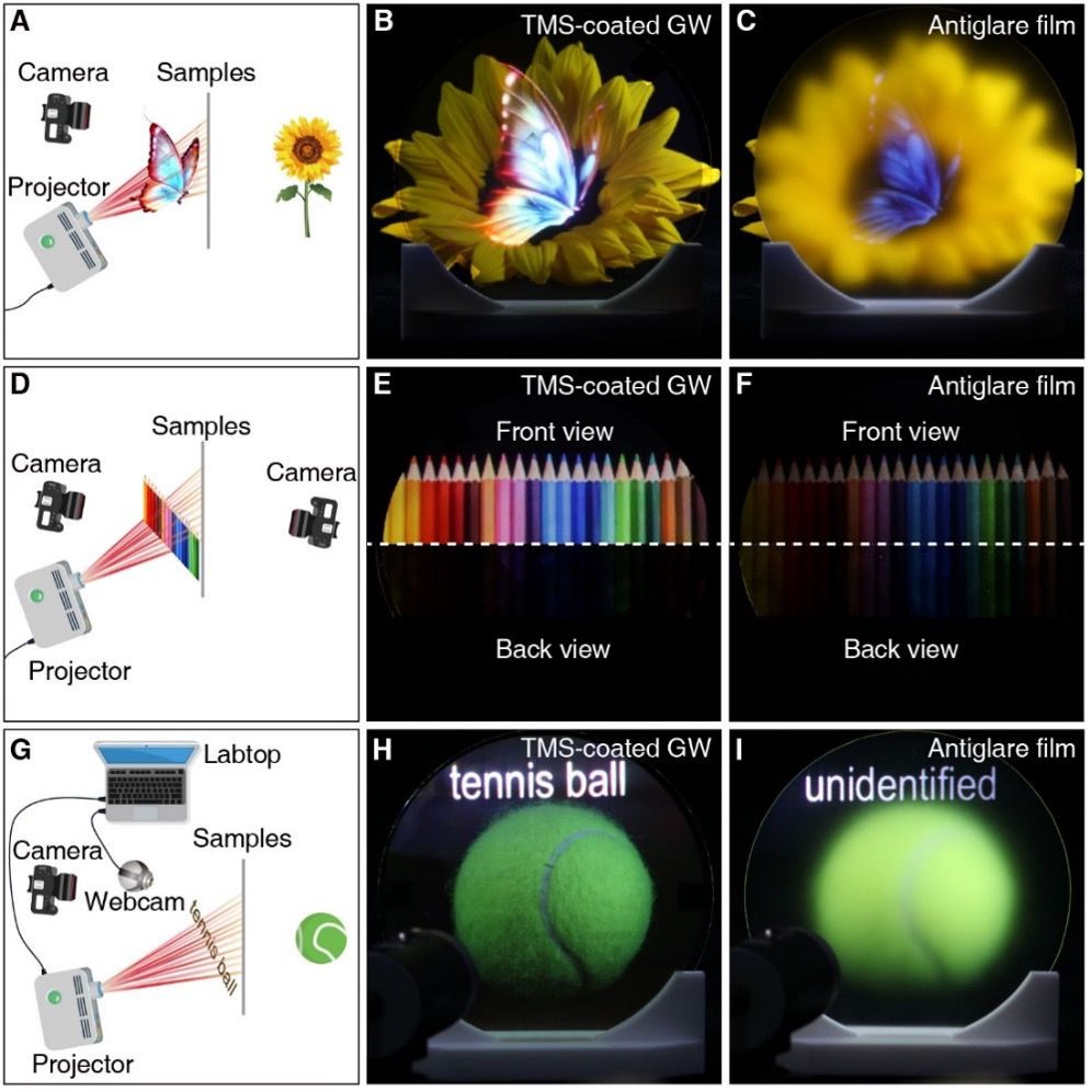 世界杯投注平台