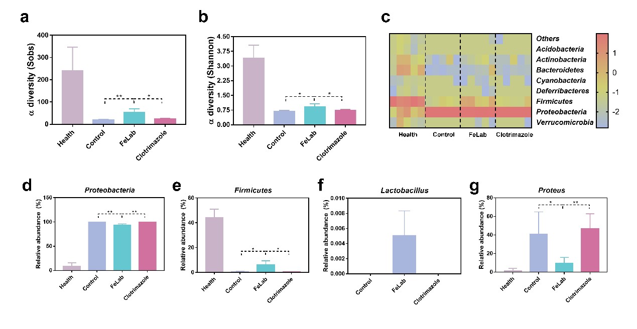 魏辉2 世界杯投注平台