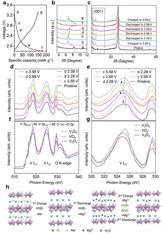 世界杯投注平台
