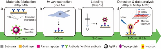 1 世界杯投注平台