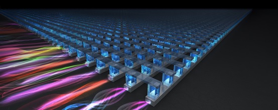 1 世界杯投注平台