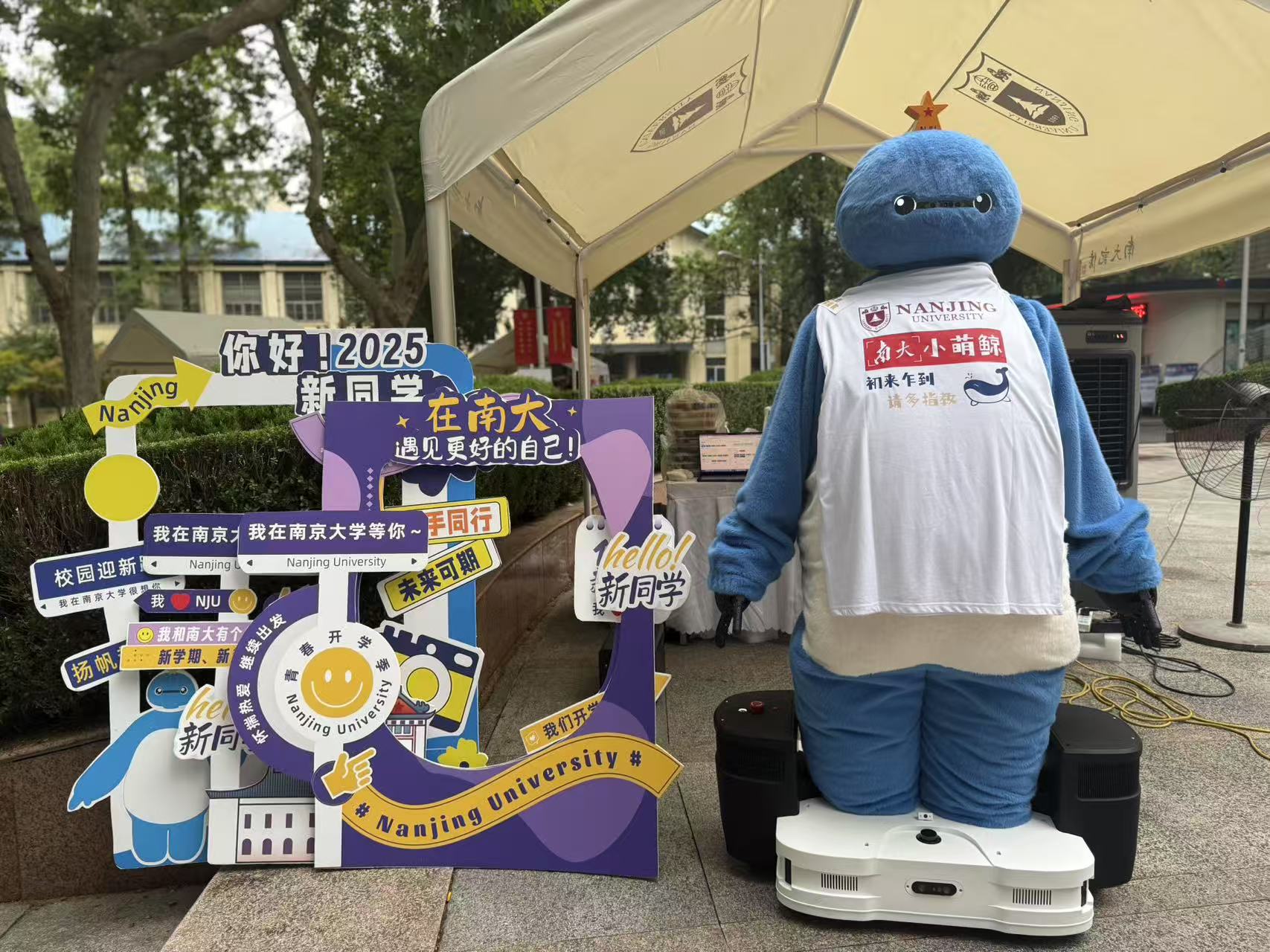 世界杯投注平台