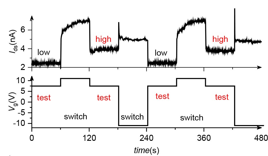 世界杯投注平台