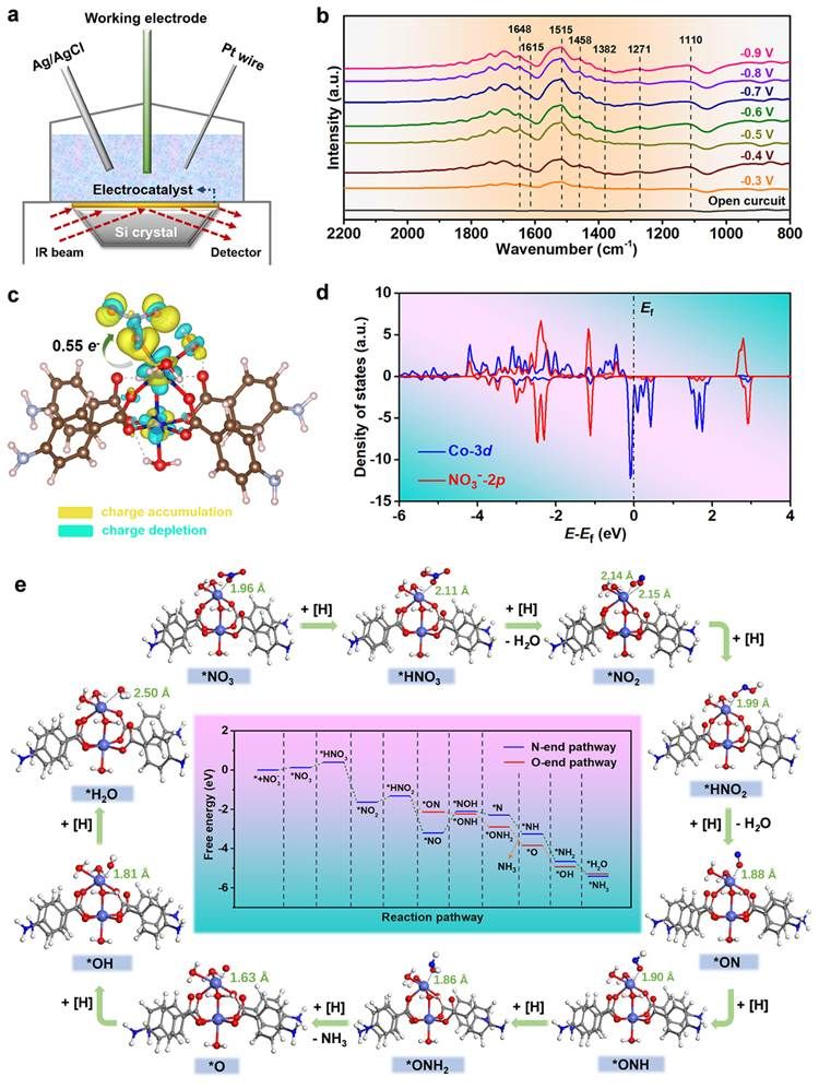 世界杯投注平台
