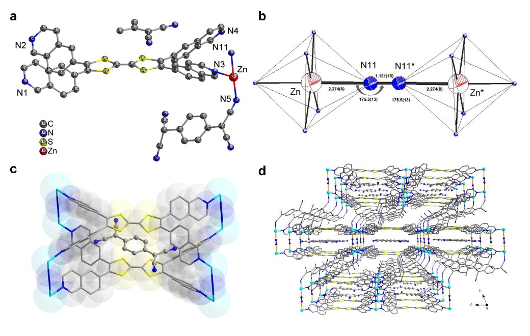 世界杯投注平台