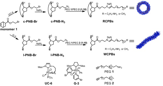 世界杯投注平台