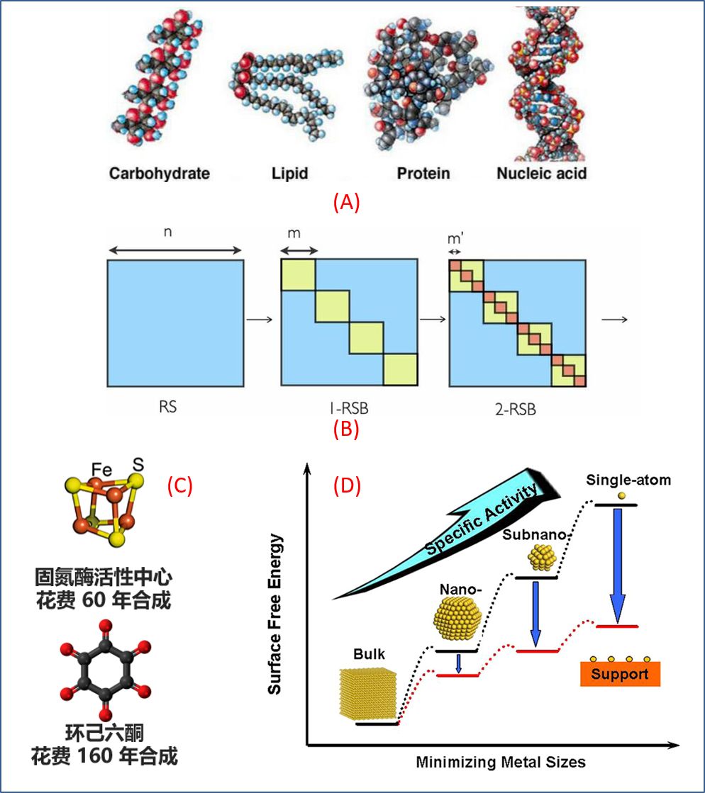 世界杯投注平台