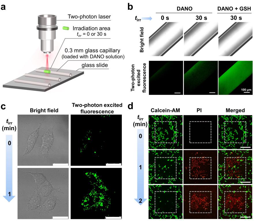 世界杯投注平台