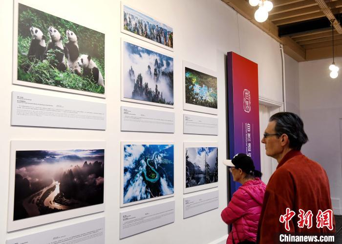 世界杯投注平台